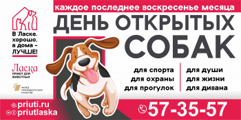 «День открытых собак» 26 марта будет посвящен «маленьким собачкам для души и дивана»!