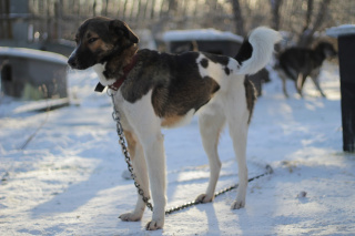 ПОНЧО