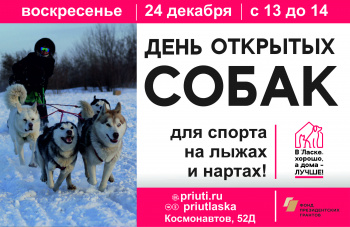 Откуда в «Ласке» хаски, расскажут на последнем в этом году Дне открытых собак!