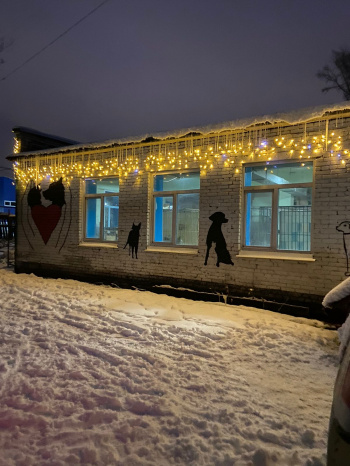 Приют "Ласка" ждет взрывных креативщиков!